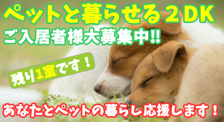 高松市　ペット可賃貸2DK