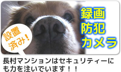 エントランス全体を撮す録画防犯カメラ設置済み