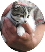 ペット可賃貸なら長村マンションへ