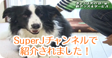 KBS瀬戸内海放送superJチャンネルで紹介されました！