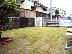 香川県　高松市　ペット可賃貸　ドッグラン