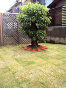 香川県　高松市　ペット可賃貸　ドッグラン